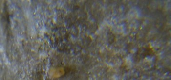 2017-02-07 08-13-08 (8).JPG