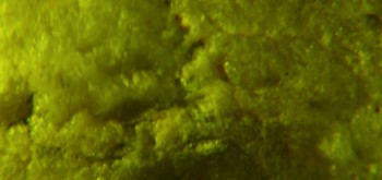 2017-02-07 08-13-40 (2).JPG