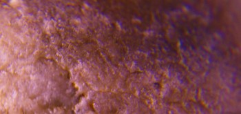 2017-02-07 08-13-40 (3).JPG