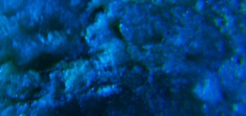 2017-02-07 08-13-40 (4).JPG