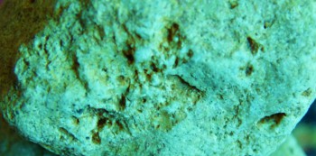 2017-02-07 08-14-14 (2).JPG