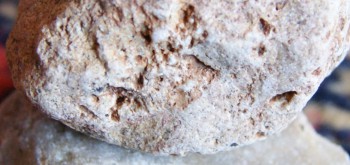 2017-02-07 08-14-14 (3).JPG