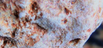 2017-02-07 08-14-14 (4).JPG