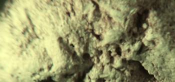 2017-02-07 08-14-36 (2).JPG