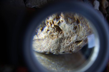 2017-02-07 08-14-48.JPG