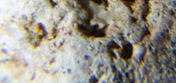 2017-02-07 08-15-08 (2).JPG