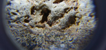 2017-02-07 08-15-08 (3).JPG