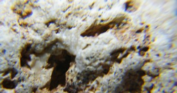 2017-02-07 08-15-08 (4).JPG