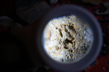 2017-02-07 08-15-08.JPG