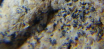 2017-02-07 08-15-30 (2).JPG