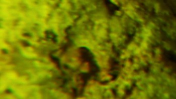 2017-02-07 08-15-08 (5).JPG