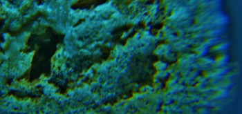 2017-02-07 08-15-08 (6).JPG