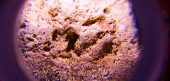 2017-02-07 08-15-08 (7).JPG