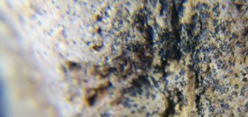 2017-02-07 08-15-30 (3).JPG