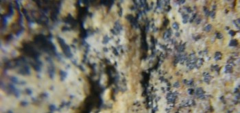 2017-02-07 08-15-30 (4).JPG