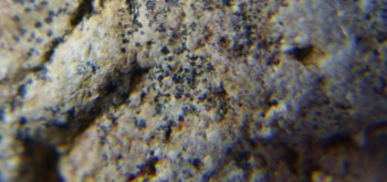 2017-02-07 08-15-30 (5).JPG