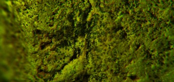 2017-02-07 08-15-56 (2).JPG