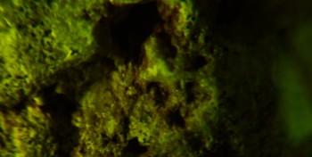 2017-02-07 08-16-28 (2).JPG