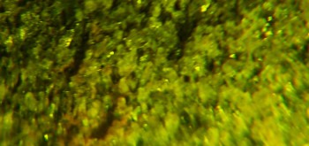 2017-02-07 08-18-42 (2).JPG