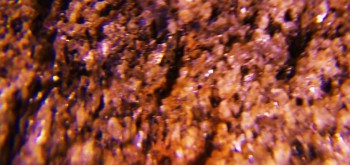 2017-02-07 08-18-42 (3).JPG