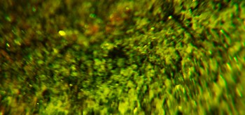 2017-02-07 08-18-56 (2).JPG