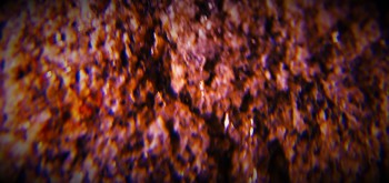 2017-02-07 08-19-20 (2).JPG