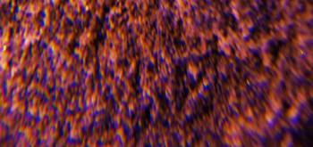 2017-02-07 08-20-10 (2).JPG