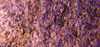 2017-02-07 08-20-22 (2).JPG