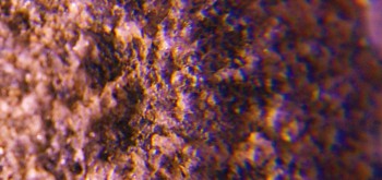 2017-02-07 08-30-10 (2).JPG