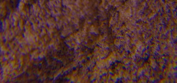 2017-02-07 08-30-50 (2).JPG