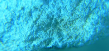 2017-02-07 08-31-16 (2).JPG