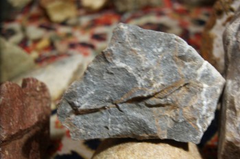 2017-02-22 16-17-14.JPG