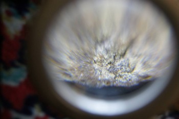 2017-02-22 16-25-20.JPG