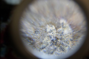 2017-02-22 16-25-34.JPG