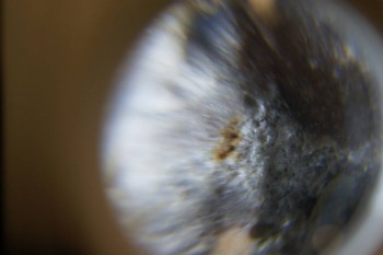 2017-02-22 16-27-44.JPG