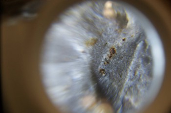 2017-02-22 16-28-14.JPG