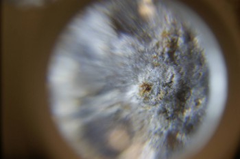 2017-02-22 16-28-26.JPG