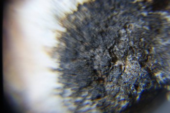 2017-02-22 16-30-12.JPG