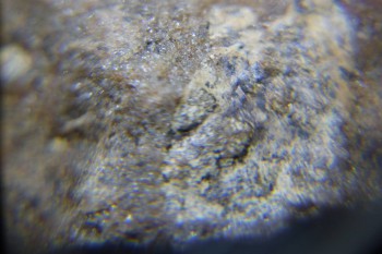 2017-02-22 16-30-56.JPG