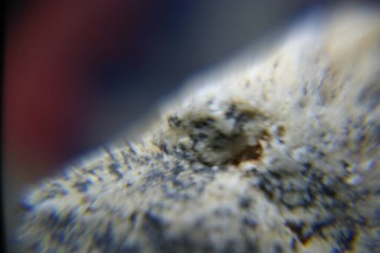 2017-02-22 16-31-38.JPG