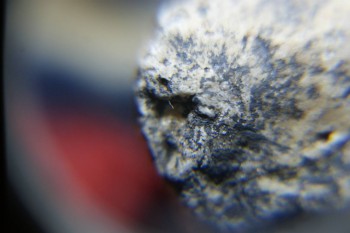 2017-02-22 16-31-50.JPG