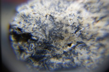 2017-02-22 16-32-00.JPG