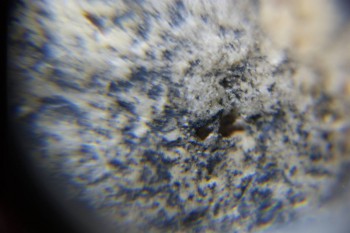 2017-02-22 16-32-08.JPG