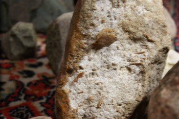 2017-02-22 16-34-38.JPG