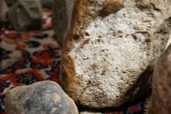 2017-02-22 16-34-42.JPG