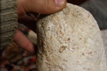 2017-02-22 16-35-04.JPG