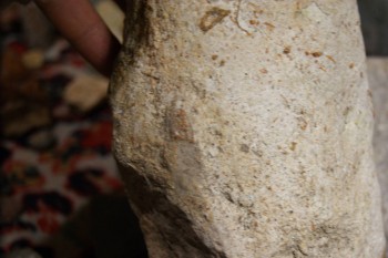 2017-02-22 16-35-10.JPG