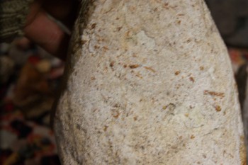 2017-02-22 16-35-18.JPG