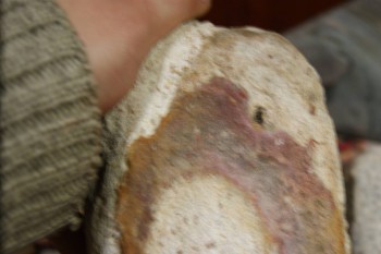 2017-02-22 16-35-44.JPG