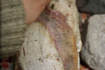 2017-02-22 16-36-20.JPG